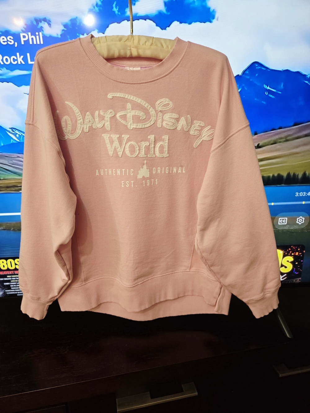 Disney Pink Logo Crewneck Sweatshirt Size S 100%Cotton